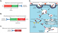 Application of immunotoxins in the treatment of cancer
